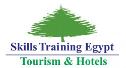 لوجو Skills Training egypt لوجو Skills Training egypt
