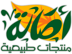 لوجو اصالة الماضى لوجو اصالة الماضى