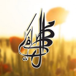 لوجو مكتب المصطفى للمحاماة و اﻻستشارات لوجو مكتب المصطفى للمحاماة و اﻻستشارات