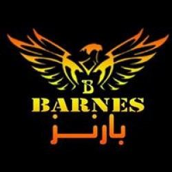لوجو بارنز الاستثماريه لوجو بارنز الاستثماريه