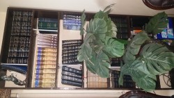 لوجو مكتب محامى بالنقض لوجو مكتب محامى بالنقض