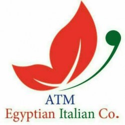 لوجو المصريه الايطاليه لوجو المصريه الايطاليه
