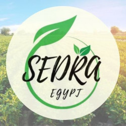 لوجو سدرة للاستيراد و التصدير لوجو سدرة للاستيراد و التصدير