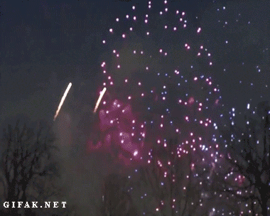 c_131104080016_1_2013-12-01.gif