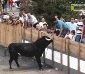 c_131107120526_1.gif