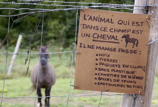 image-drole-humour10.jpg