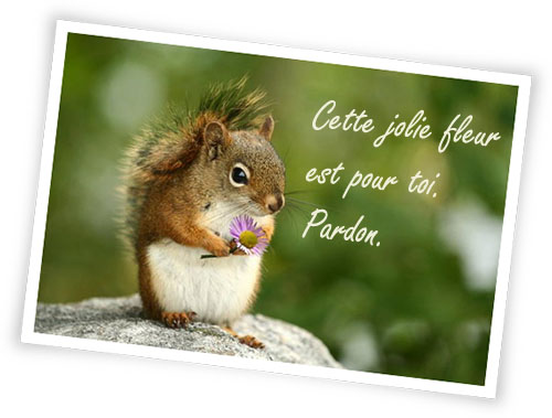 pardon_joliecarte4_2013-01-09.jpg