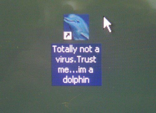 tumblr_lx8m30tK5b1qakxfbo1_500.jpg