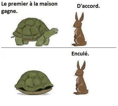facebooklapin.jpg