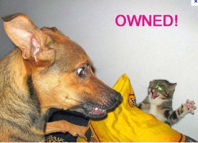 owned_2012-12-19.JPG