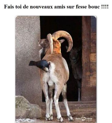 fessebouc.jpg