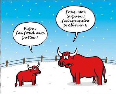 froidauxpattes.jpg