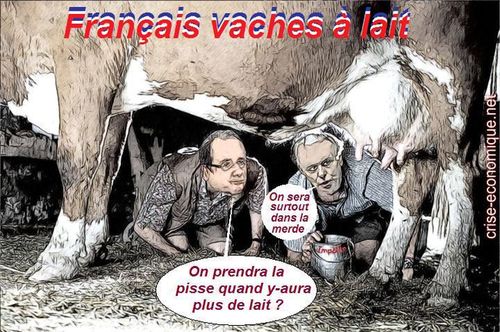 vachesalait.jpg