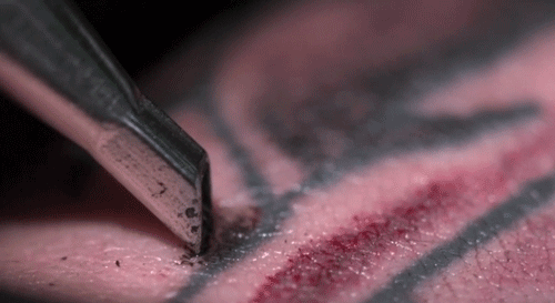 tumblr_ncf4oe_Zj_KE1ruw1vso1_500.gif