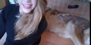 6546_2014-01-17.gif