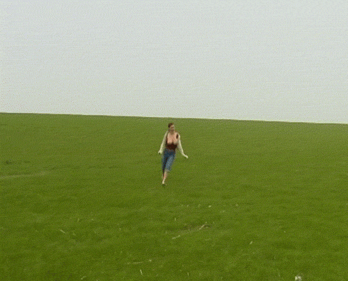 8498.gif