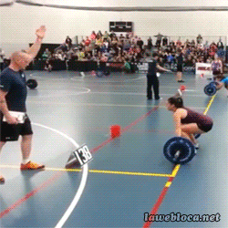 98541.gif