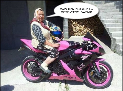 qsefs.jpg