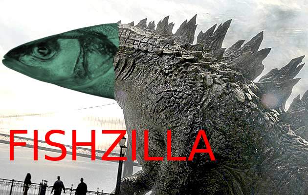 fishzilla.jpg