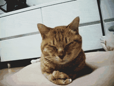 sight.gif