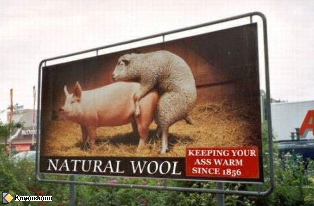 woolmark.jpg