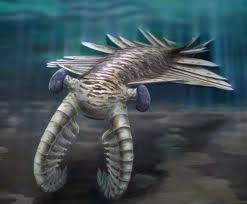 Anomalocaris.jpg