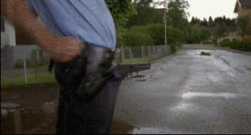 bg55eu1g.gif