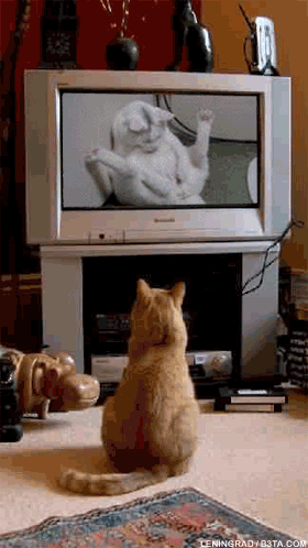 chatauporno.gif