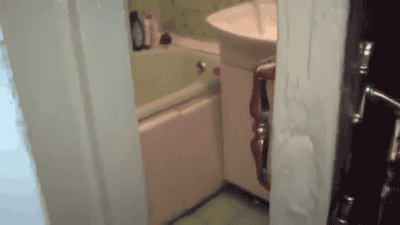 chatautoilette.gif