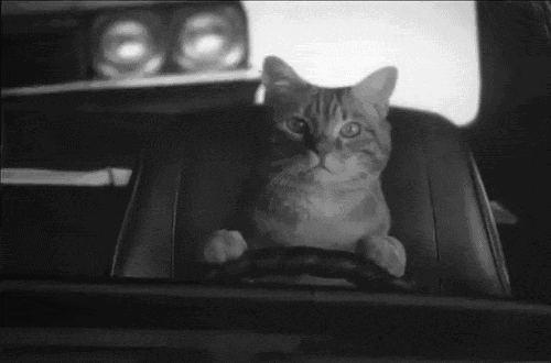 chatauvolant.gif