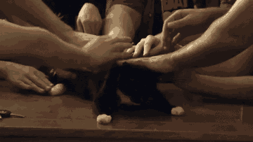 chatcaresse.gif