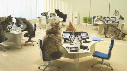 chatmodo.gif