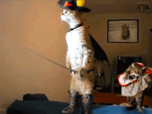 chatpote.gif