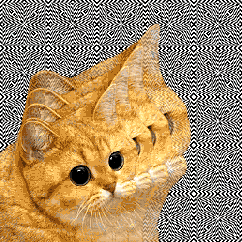 chatpsychodelique.gif