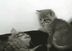 chatsbagare.gif