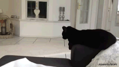 chattapela.gif