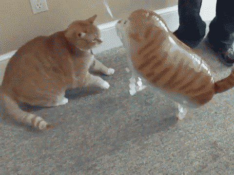 chatviolent.gif
