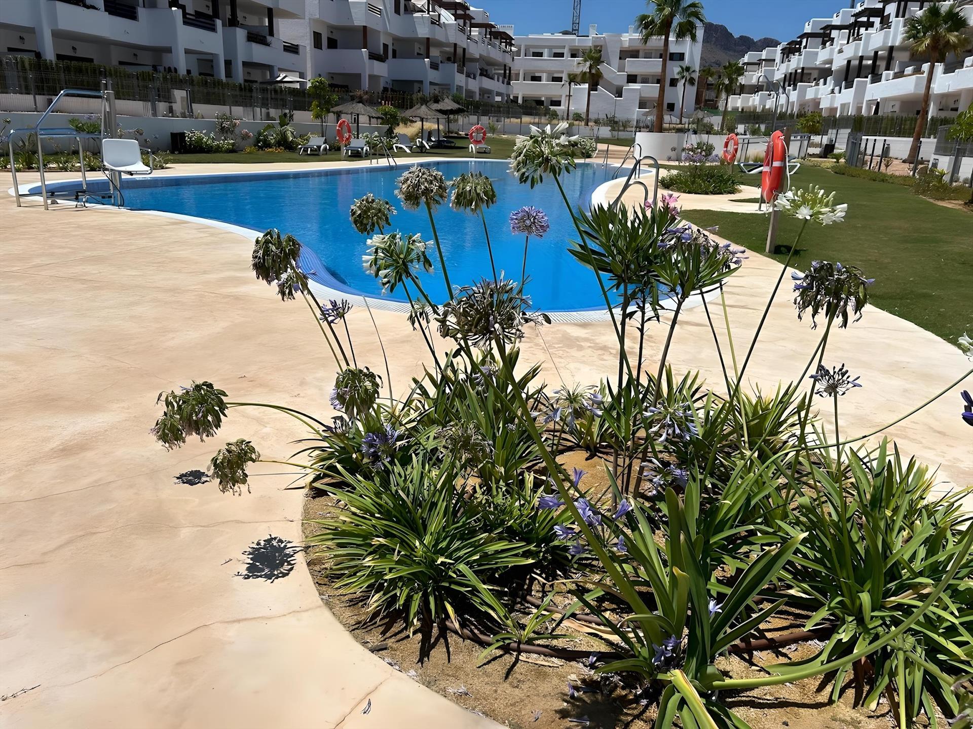 casa-max