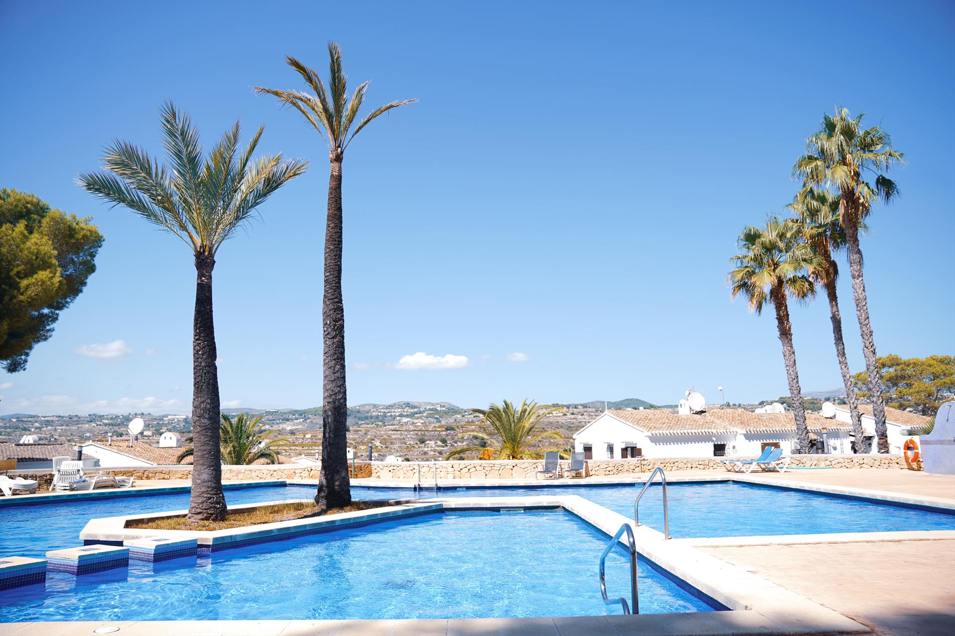 Alma Moraira