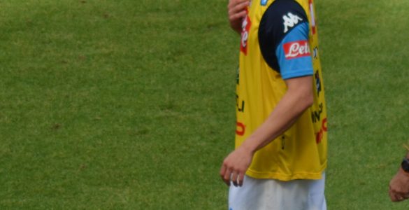 Milik Napoli Torino 2017 18