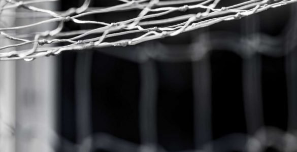 Componenti Proroga Commissario E Illegittima