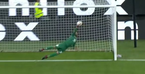 Sirigu5 Inter Torino 2018 19
