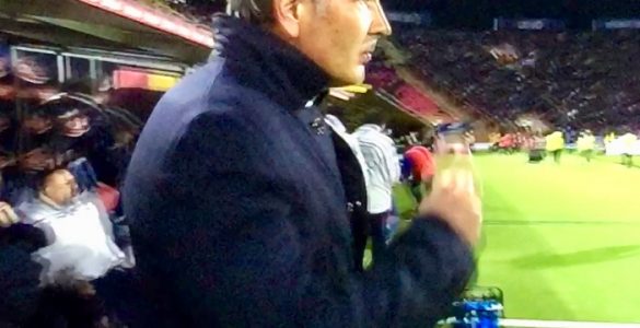 Mihajlovic In Bologna Chievo 2018 19