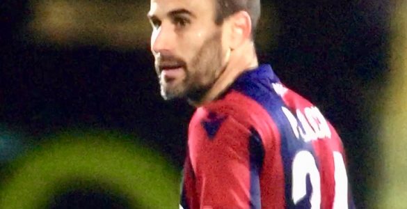 Palacio In Bologna Chievo 2018 19