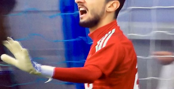 Perin In Sapl Juventus 2018 19