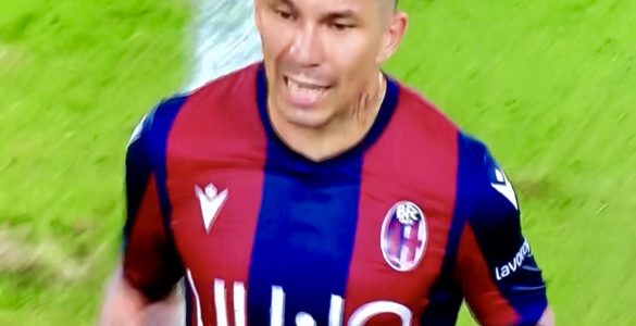 Medel In Bologna Spal