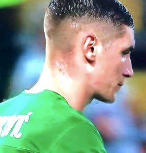 Milenkovic In Genoa Fiorentina 2019 20