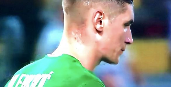 Milenkovic In Genoa Fiorentina 2019 20