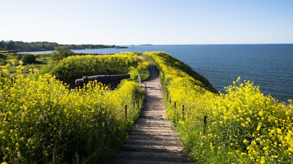 Idänukonpalkoja Kustaanmiekan valleilla.