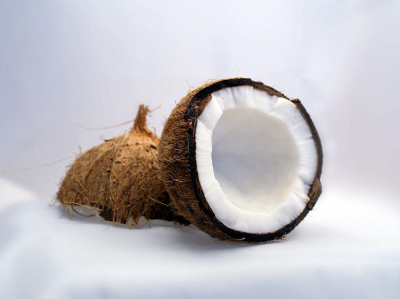 noce-di-cocco